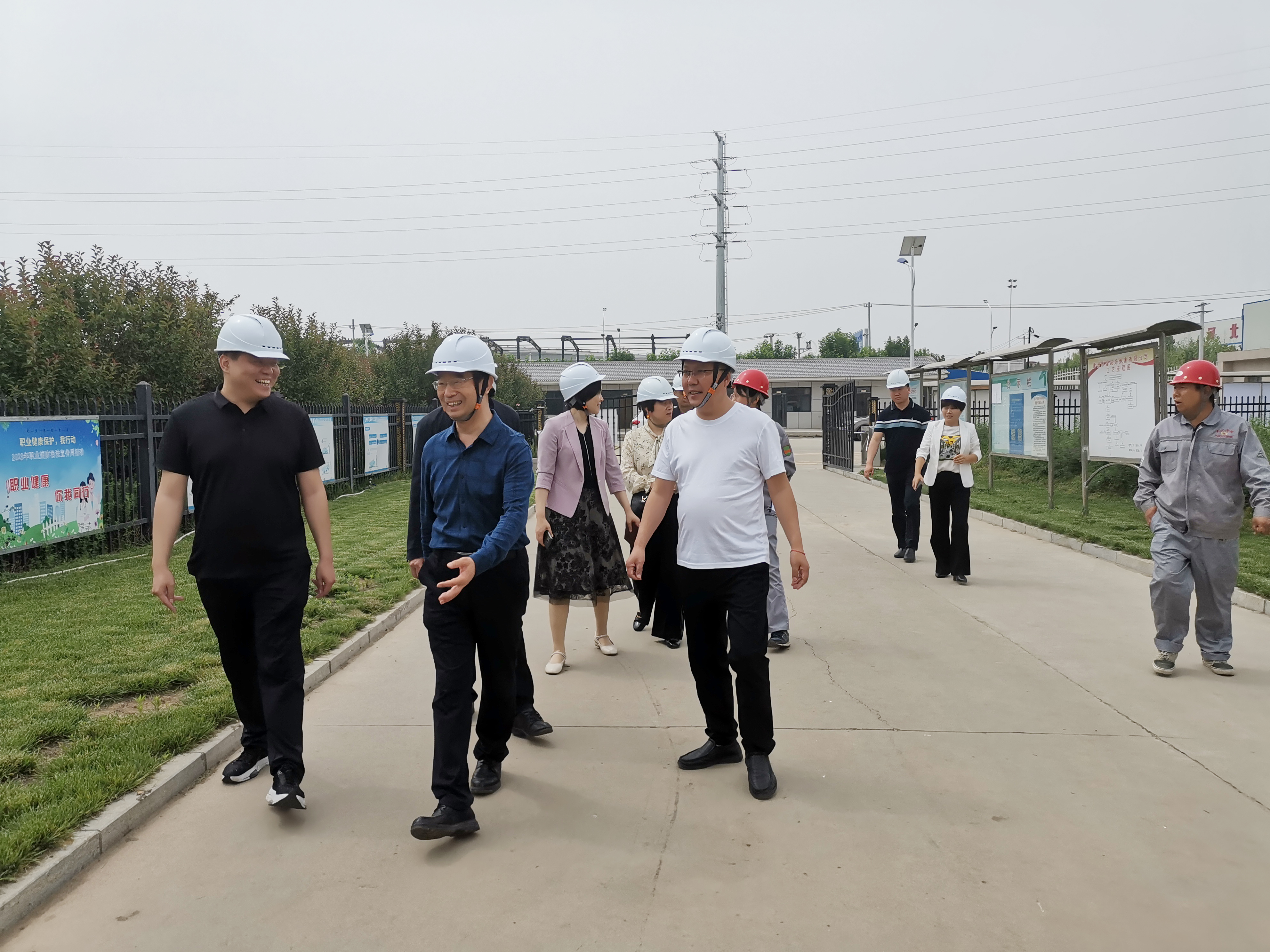 省绿发协赴石家庄晋州市调研